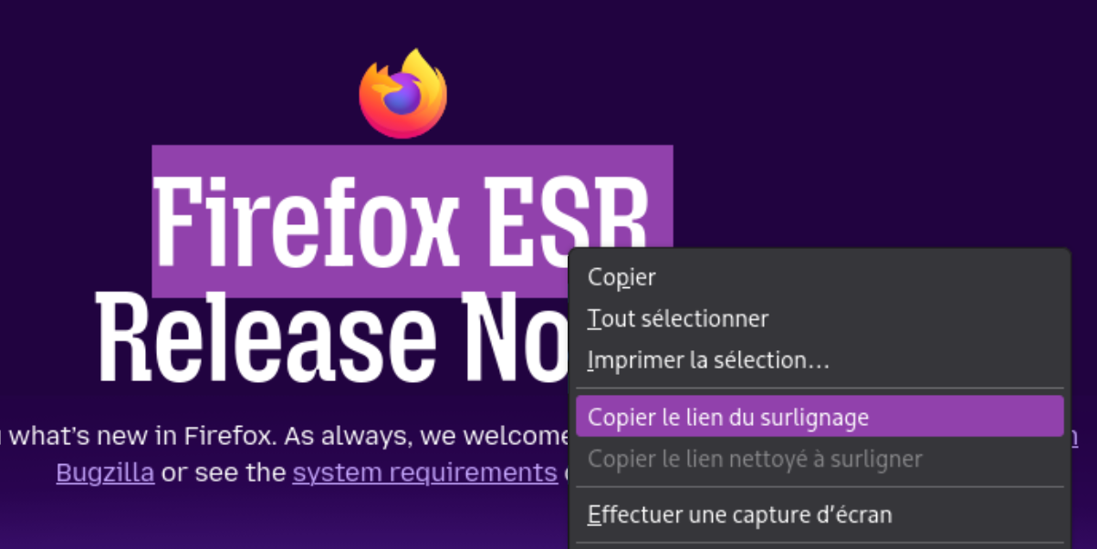 Capture d’écran d’un fragment d’interface, qui montre le menu déroulant de Firefox sur une zone de texte sélectionné, avec en exergue l’option de menu Copier le lien de surlignage